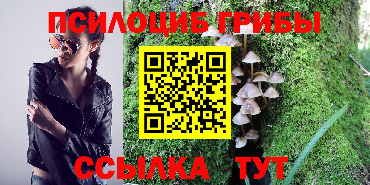 Галлюциногенные грибы MAGIC MUSHROOMS Калач-на-Дону